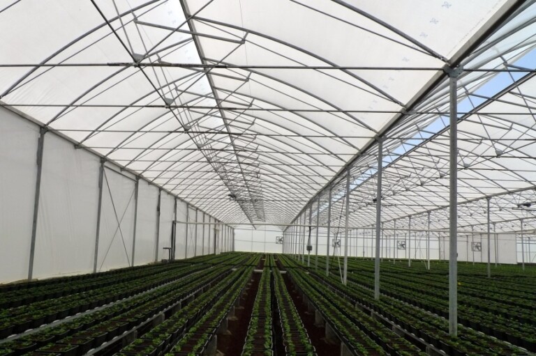 Greenhouses Coverings