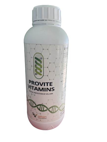 Provite Vitamins